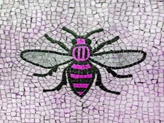Manchester Bee